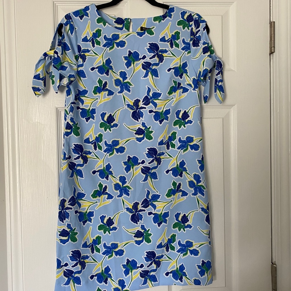 Banana Republic Blue Floral Dress